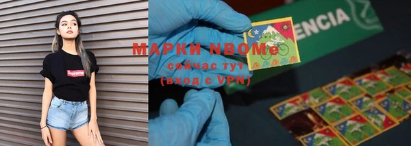 гидра Алексеевка