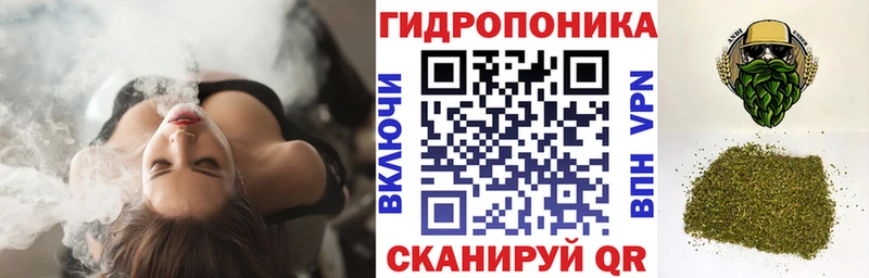Конопля план Купить Данилов